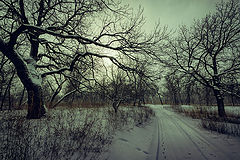 photo "***"