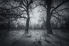 photo "***"