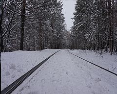 фото "Путь"