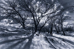 photo "***"