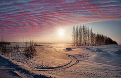 photo "***"