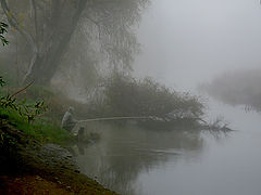photo "***"