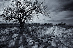 photo "***"