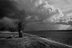 photo "***"