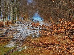 photo "View to some winter light.."