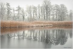 photo "***"