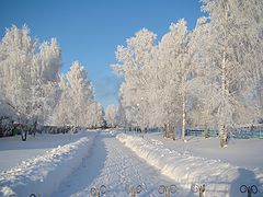 photo "Зима в деревне"