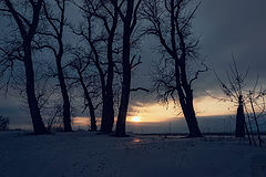 photo "***"
