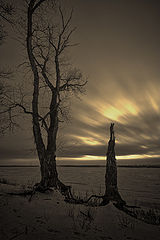 photo "***"