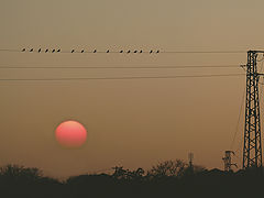 photo "***"