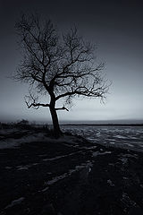 photo "***"
