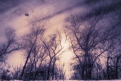 photo "***"