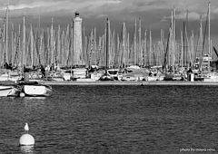 фото "in the port"