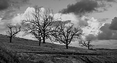 photo "***"