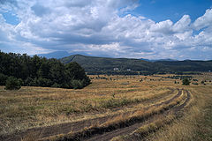 photo "***"