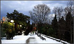photo "***"
