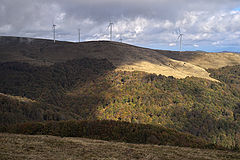 photo "***"