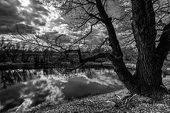 photo "***"