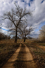 photo "***"