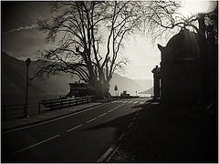 фото "***"