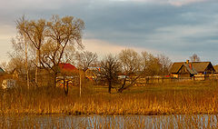 photo "***"
