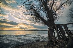 photo "***"
