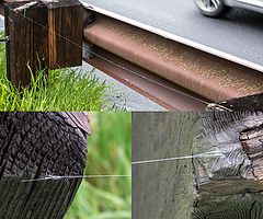 photo "Дело мастера боится."