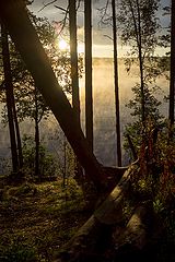 фото "озеро Отрадное"