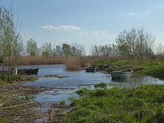 фото "Паводок ."