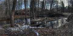 фото "В апреле..."