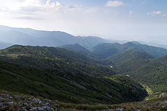 photo "***"