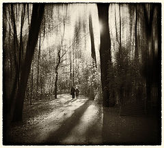 photo "***"