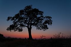 photo "Chobe sunset"
