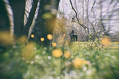photo "***"