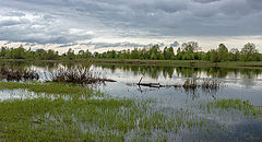 photo "***"