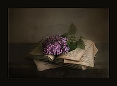 photo "***"