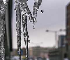фото "Весеннее"