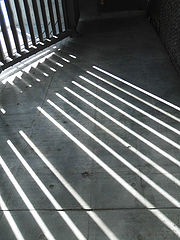 photo "Shadow"
