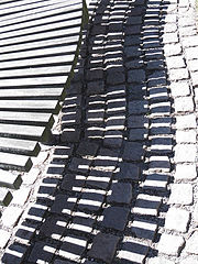 photo "Shadow"