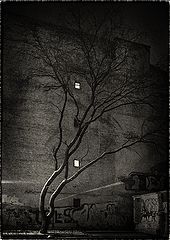 photo "***"