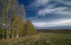 photo "***"