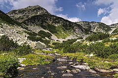 photo "***"