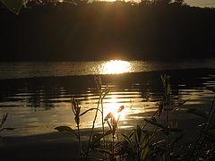 photo "***"