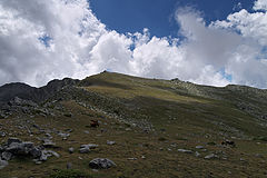 photo "***"