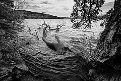 photo "кончина"
