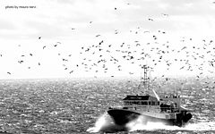 photo "on the sea"