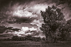 photo "***"
