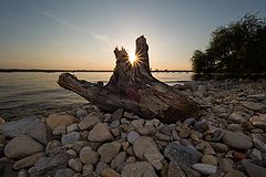 photo "Starnberger See"