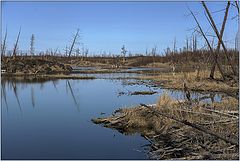photo "Где то в районе Норильска"