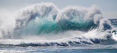 photo "the wall"